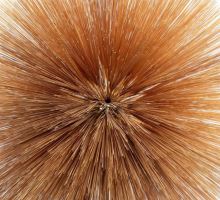 Album cover for Of The Near And Far by Patricia Brennan